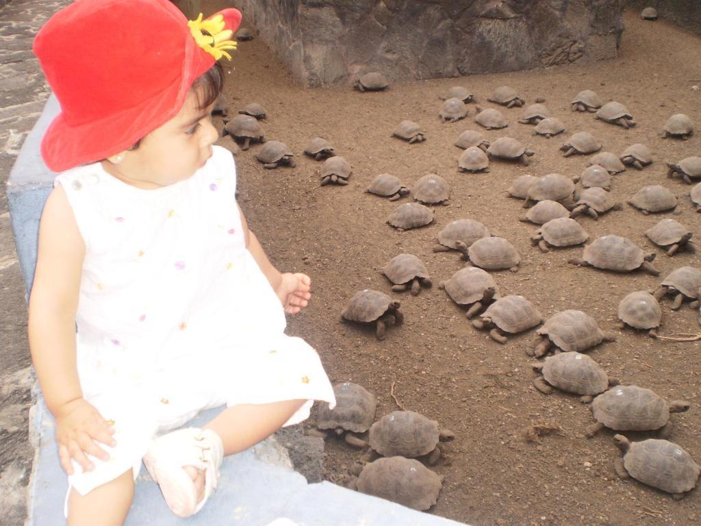 بْوُرتو فيلاميل Hostal La Gran Tortuga المظهر الخارجي الصورة
