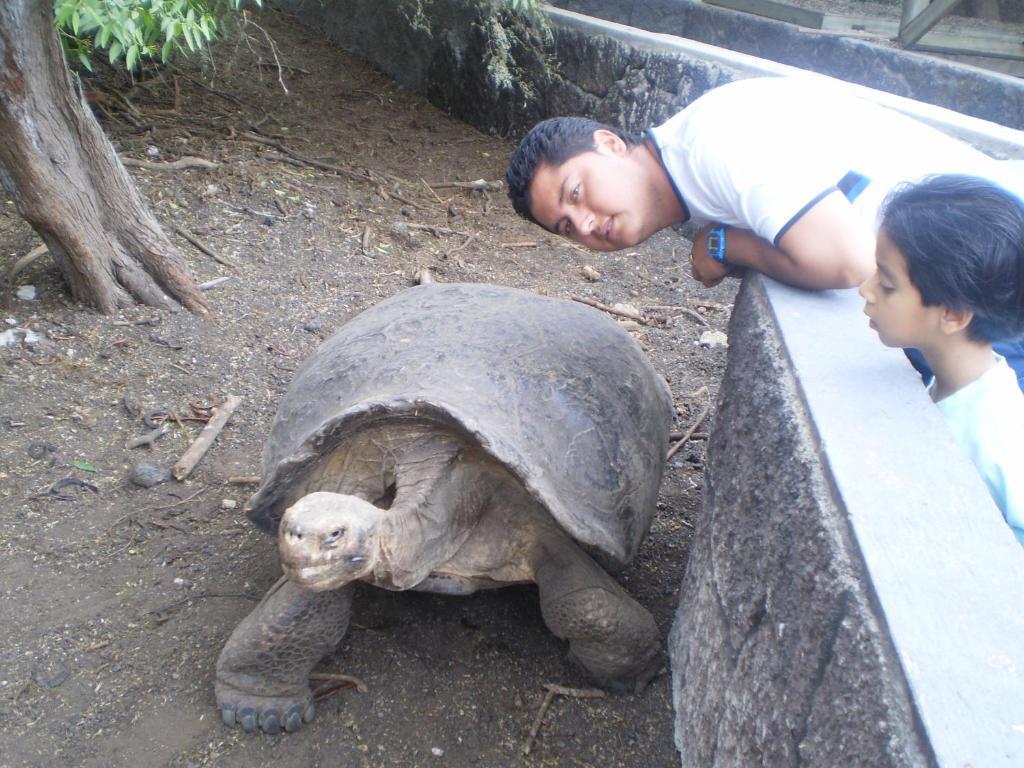 بْوُرتو فيلاميل Hostal La Gran Tortuga المظهر الخارجي الصورة