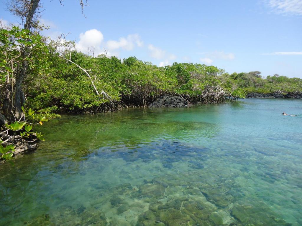 بْوُرتو فيلاميل Hostal La Gran Tortuga المظهر الخارجي الصورة
